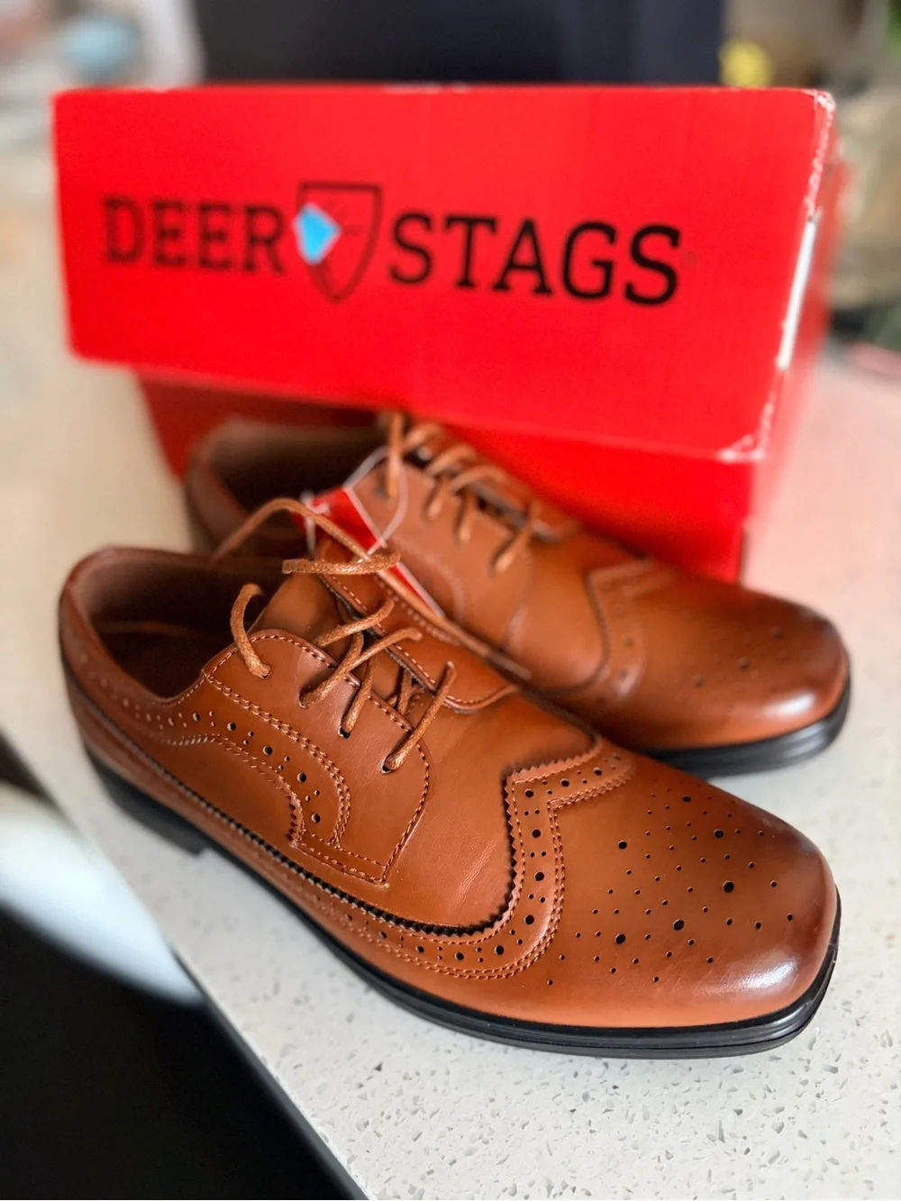 Boy’s Deer Stags Brown Wingtip Oxfords ~4.5